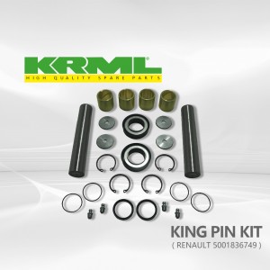 High quality,Best price,king pin kit for RENAULT 749  Ref. Original:   5001836749