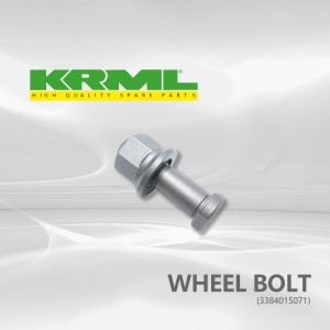 Parafuso da roda com porca flangeada para caminhão Mercedes-Benz OEM 3384015071