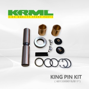 High quality,Best price king pin kit for MERCEDES 6013300019 Ref. Original:  6013300019