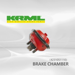 Brake Chamber 4231051110,Best price,China