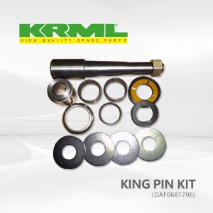 Manufacturer,Original,king pin kit for DAF XF. Ref. Original: 0681706