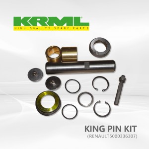 High quality,Best price,king pin kit for RENAULT 307 Ref. Original:   5000336307