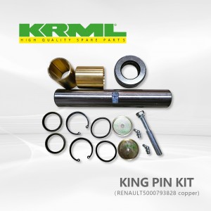 Heavy duty, Truck king pin kit for RENAULT 828 Ref.ដើម៖ 5000793828