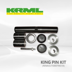 Manufacturer,Original king pin kit for RENAULT 318 Ref. Original:  5000794318
