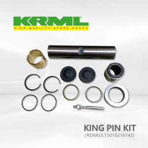 Heavy duty, Truck king pin kit for RENAULT 742 Ref.ຕົ້ນສະບັບ: 5010216742