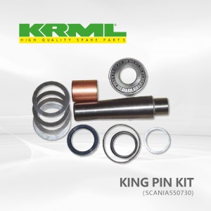 Factory ，king pin kit for SCANIA 550730 Ref. Original: 550730