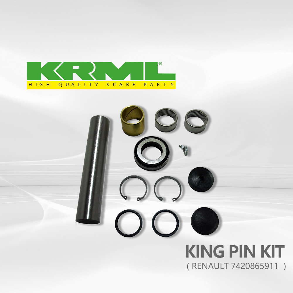 Camion, Beschte Präis, King Pin Kit fir RENAULT 911 Ref.Original nummer: 7420865911