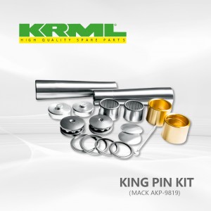 Factory ,Manufacturerking pin kit for MACK AKP 9819