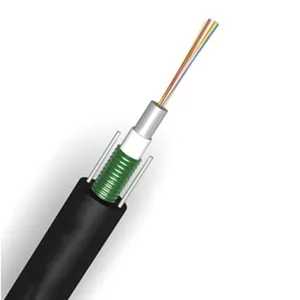 The Advantages of Armored Fiber Optic Cables in Data Centers