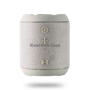 Bluetooth Speaker RB-M21 Gray