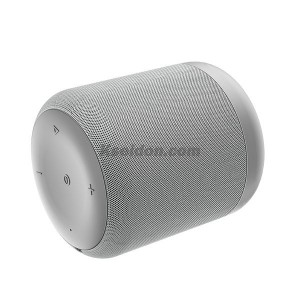 BS30 New Moon Sports Wireless Speaker Gray
