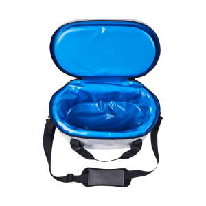 Թեժ հանրաճանաչ Soft Cooler 12 Can Clear Lunch Cooler Bag