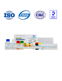 Competitive Enzyme Immunoassay Kit für die quantitative Analyse von Flumequin
