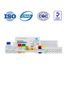 Competitive Enzyme Immunoassay Kit ye ​​Quantitative Analysis yeFurazolidone metabolite (AOZ)