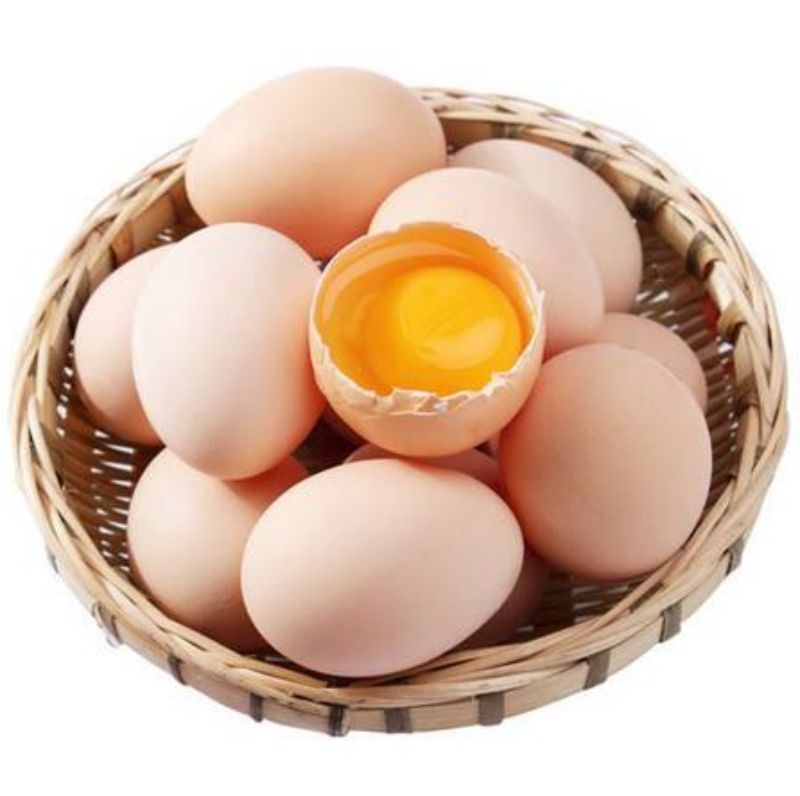 Concepts and issues of hormone eggs: