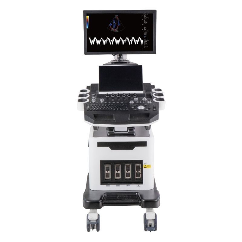 Color Doppler Ultrasound For Veterinary vDult T8 Featured Image