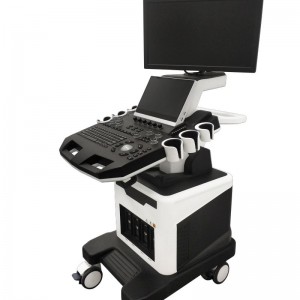 Color Doppler Ultrasound For Veterinary vDult T8