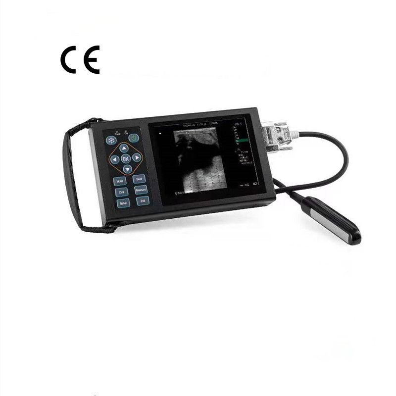 Veterinary Model - Digital B Ultrasound For Veterinary vUlt A20 – Lannx