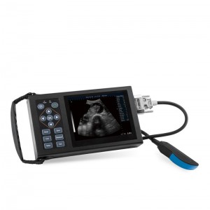 Digital B Ultrasound Para sa Veterinary vUlt A20