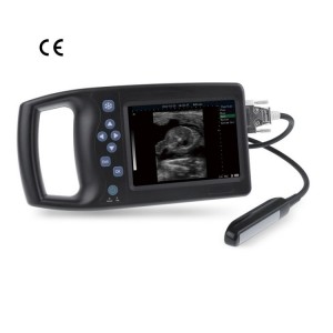 Contec Veterinary - Digital B Ultrasound For Veterinary vUlt A6 – Lannx
