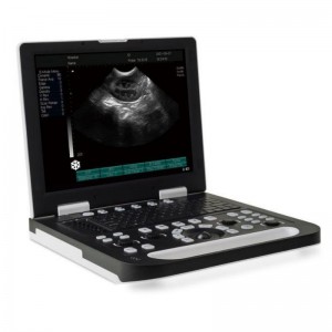 Digital B Ultrasound Bakeng sa Veterinary vUlt N50