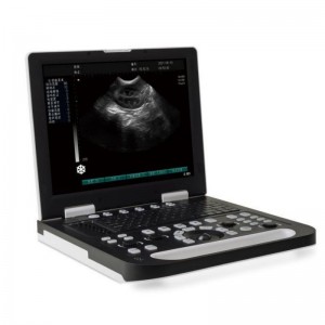 Digitale B-echografie voor veterinaire vUlt N50