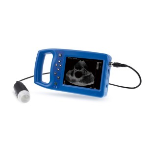 Digital B Ultrasound For Veterinary vUlt M6