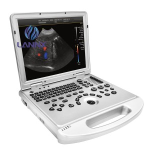 Color Doppler ultrasound for veterinary vDult L3