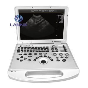 Barevný dopplerovský ultrazvuk pro veterinární vDult L3