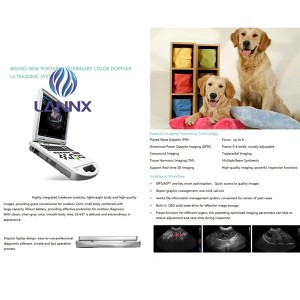 lékařský Color Dopplerův ultrazvukový přístroj pro veterináře vDult L6