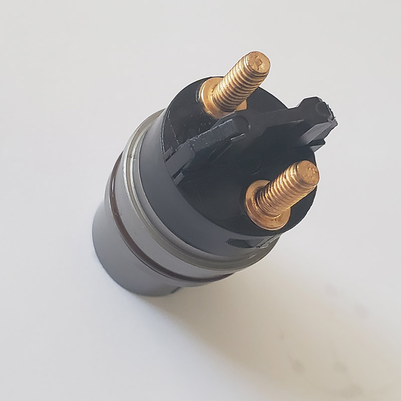 Cheap price Armature - Common rail solenoid valve – Derun detail pictures
