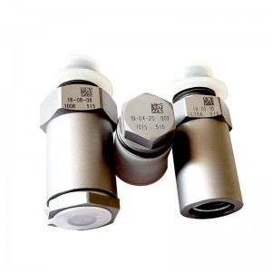 Free sample for 120 Series Marmature - common rail pressure limiting valve – Derun
