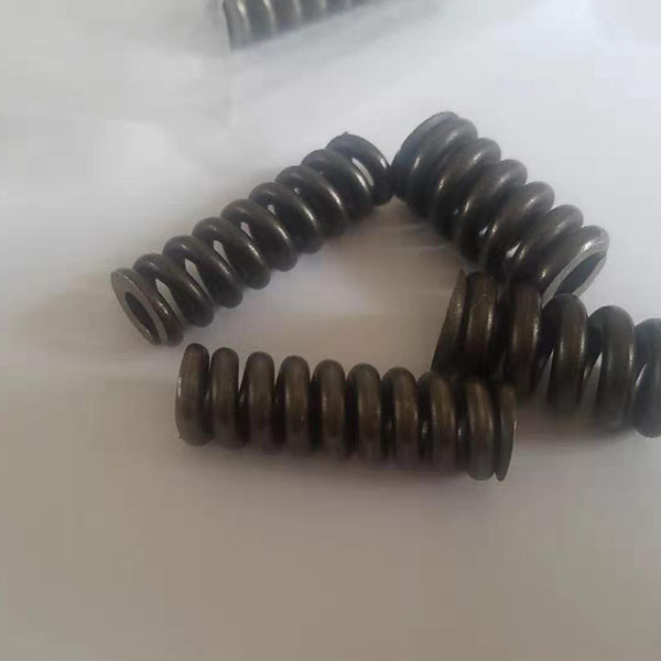 High Quality for Common Rail Valve Rod - Injector Spring – Derun detail pictures