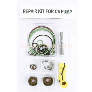 Repair Kit for C6 pump