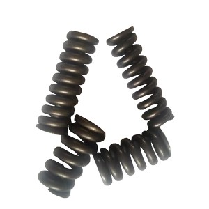 Low price for Common Rail Shims 120 System - Injector Spring – Derun