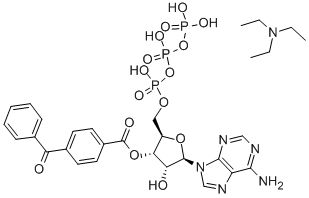 CAS:112898-15-4 |2′- اور 3′-O- (4-بینزوئیل بینزول) - اڈینوسین 5′-ٹرائی فاسفیٹ ٹرائیتھائلمونیم نمک