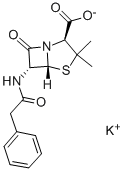 CAS: 113-98-4 |potasium benzylpenicillin