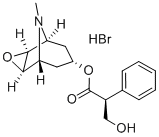 CAS:114-49-8 |Scopolaminhydrobromid