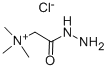CAS:123-46-6 |Girard's Reagent T |C5H14ClN3O