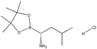 CAS:1243174-57-3 | (R)-3-Methyl-1-(4,4,5,5-tetraMethyl-1,3,2-dioxaborolan-2-yl)butan-1-aMine hydrochloride | C11H25BClNO2