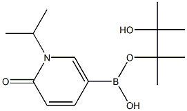 CAS: 1349151-98-9 |Eistir Pionóil Aigéad 1-Isopropil-6-oxo-1,6-dihydropyridine-3-boronic
