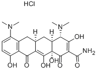 CAS:13614-98-7 |Minociklin hidroklorid