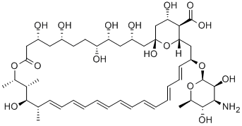 CAS:1397-89-3 |Amfotericina B