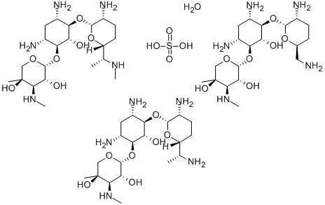 CAS:1405-41-0 |Gentamisin sulfat