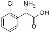CAS:141315-50-6 |L-2-clorofenilglicina