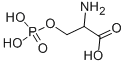 CAS:17885-08-4 |DL-O-fosfoserine