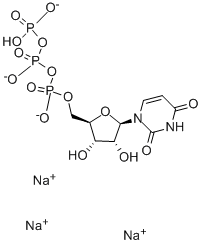CAS:19817-92-6 |Uridine-5′-triphosphoric acid trisodium paʻakai
