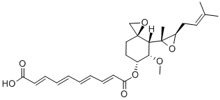 CAS:2312-23-4 |3-Chlorophenylhydrazine hydrochloride