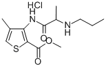CAS:23973-51-5 |Allylthioacetate