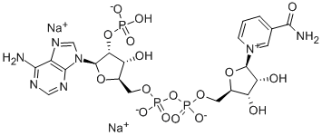 CAS:24295-03-2 |2-Acetylthiazole